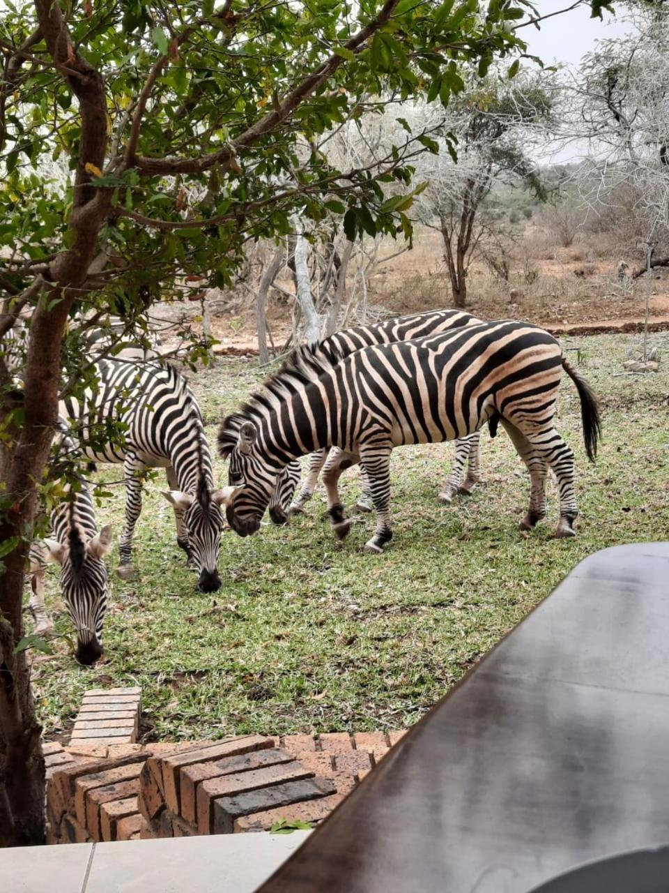 Kruger Riverside Lodge - No Load-Shedding Marloth Park Luaran gambar