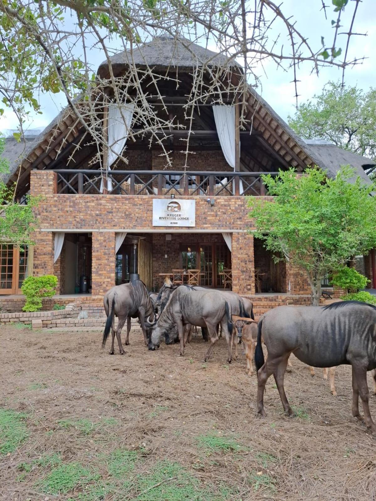 Kruger Riverside Lodge - No Load-Shedding Marloth Park Luaran gambar