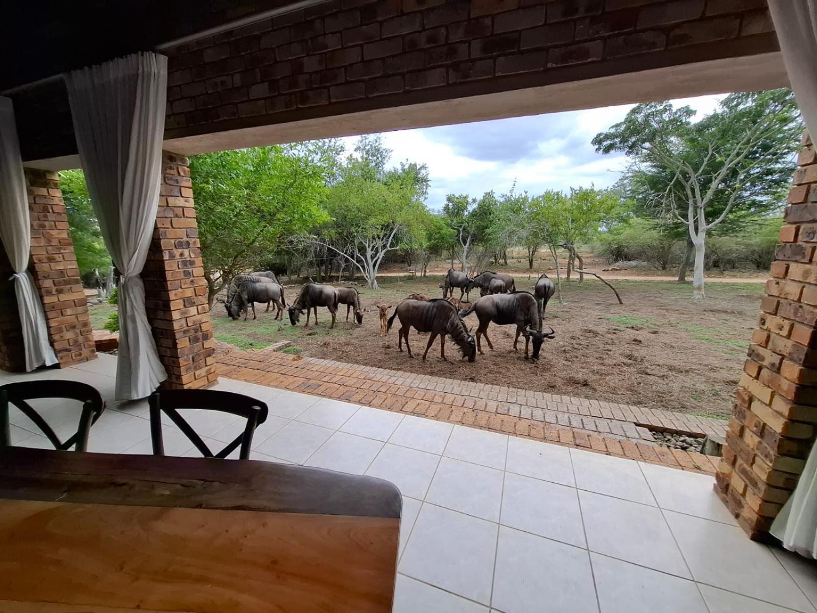 Kruger Riverside Lodge - No Load-Shedding Marloth Park Luaran gambar
