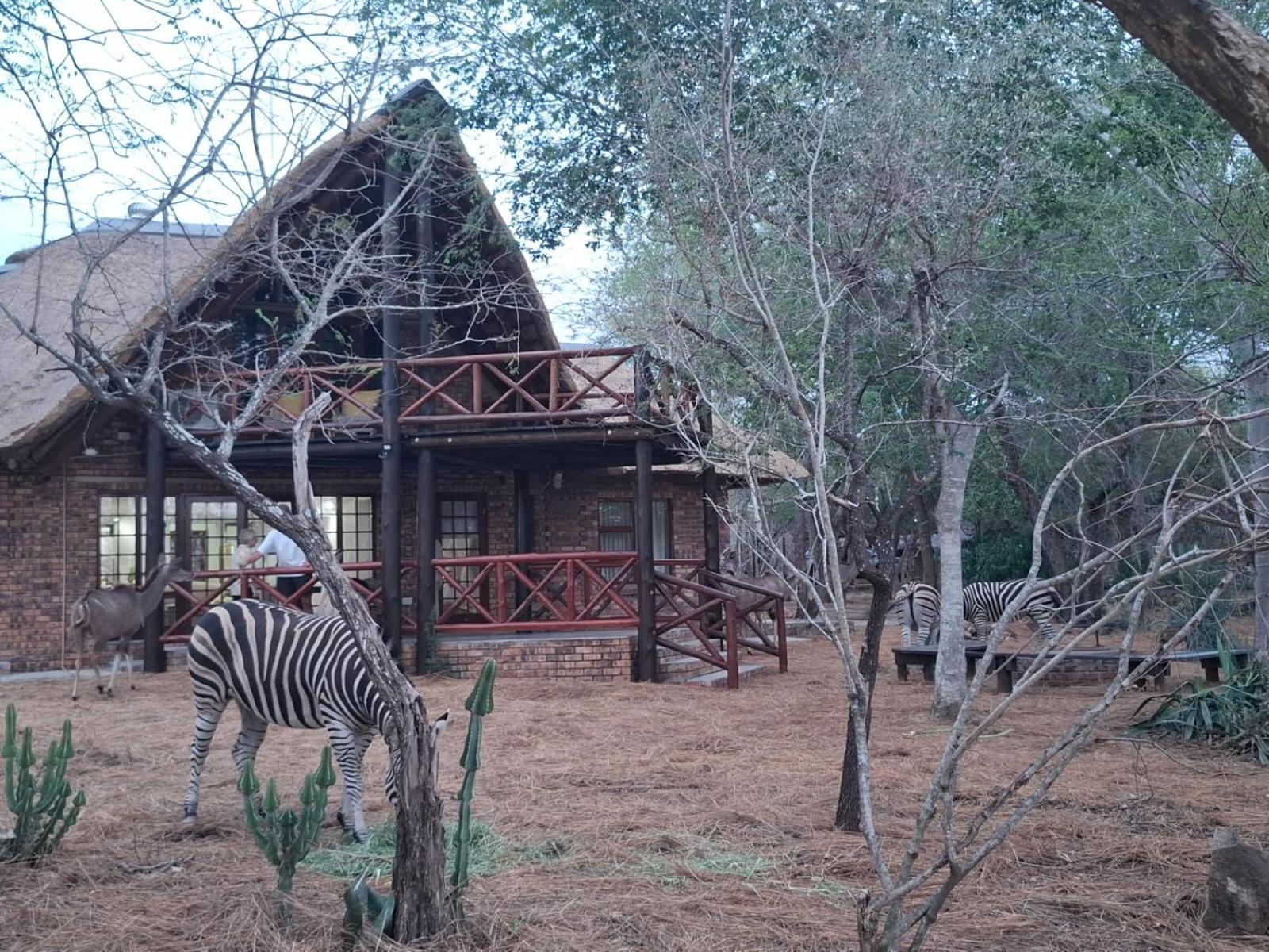 Kruger Riverside Lodge - No Load-Shedding Marloth Park Luaran gambar