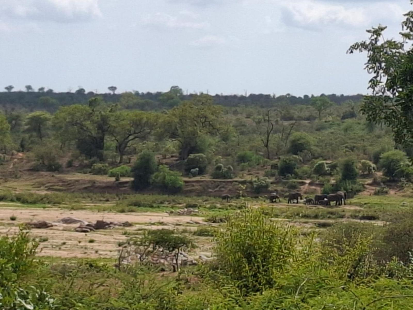 Kruger Riverside Lodge - No Load-Shedding Marloth Park Luaran gambar