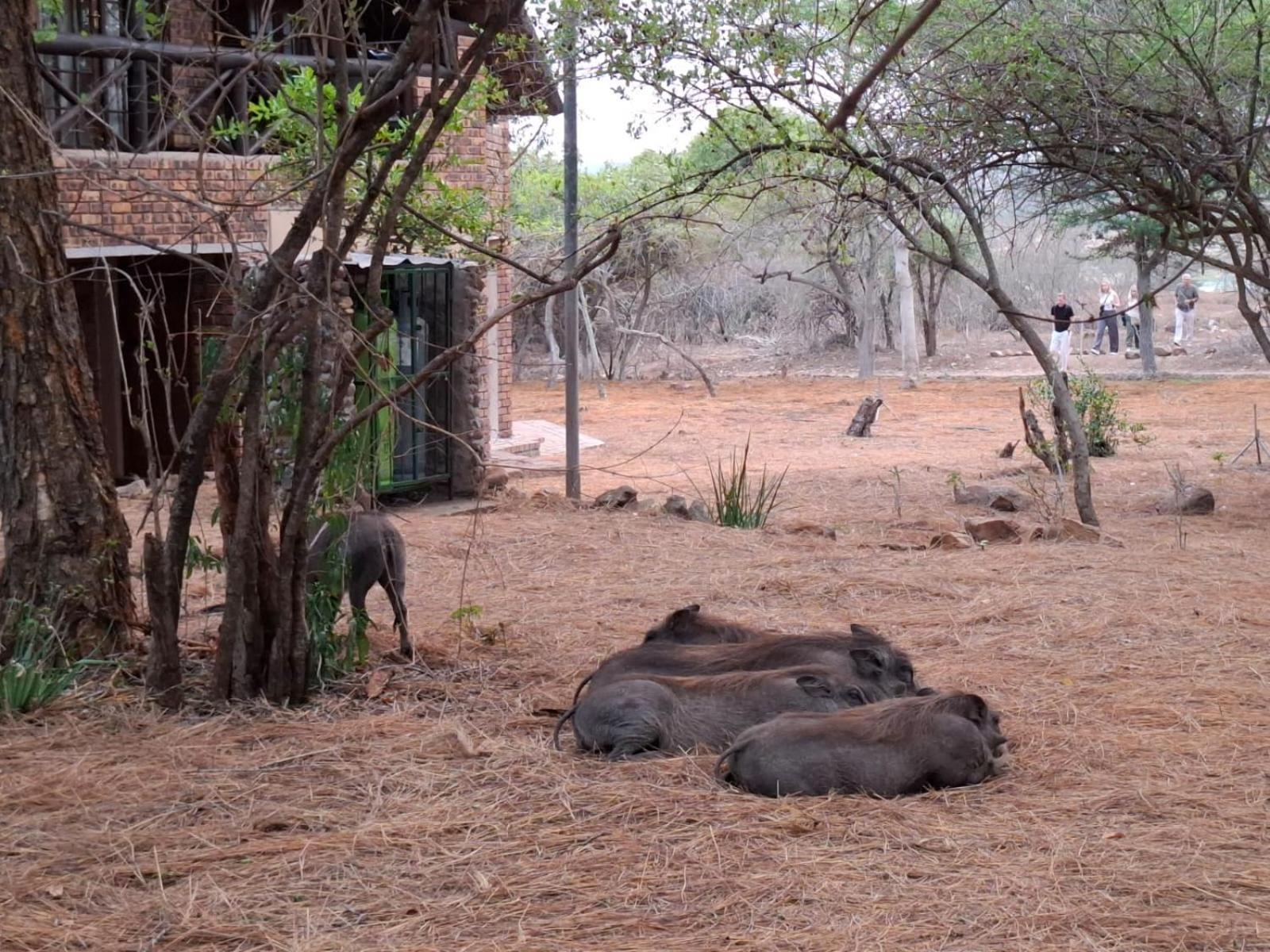 Kruger Riverside Lodge - No Load-Shedding Marloth Park Luaran gambar