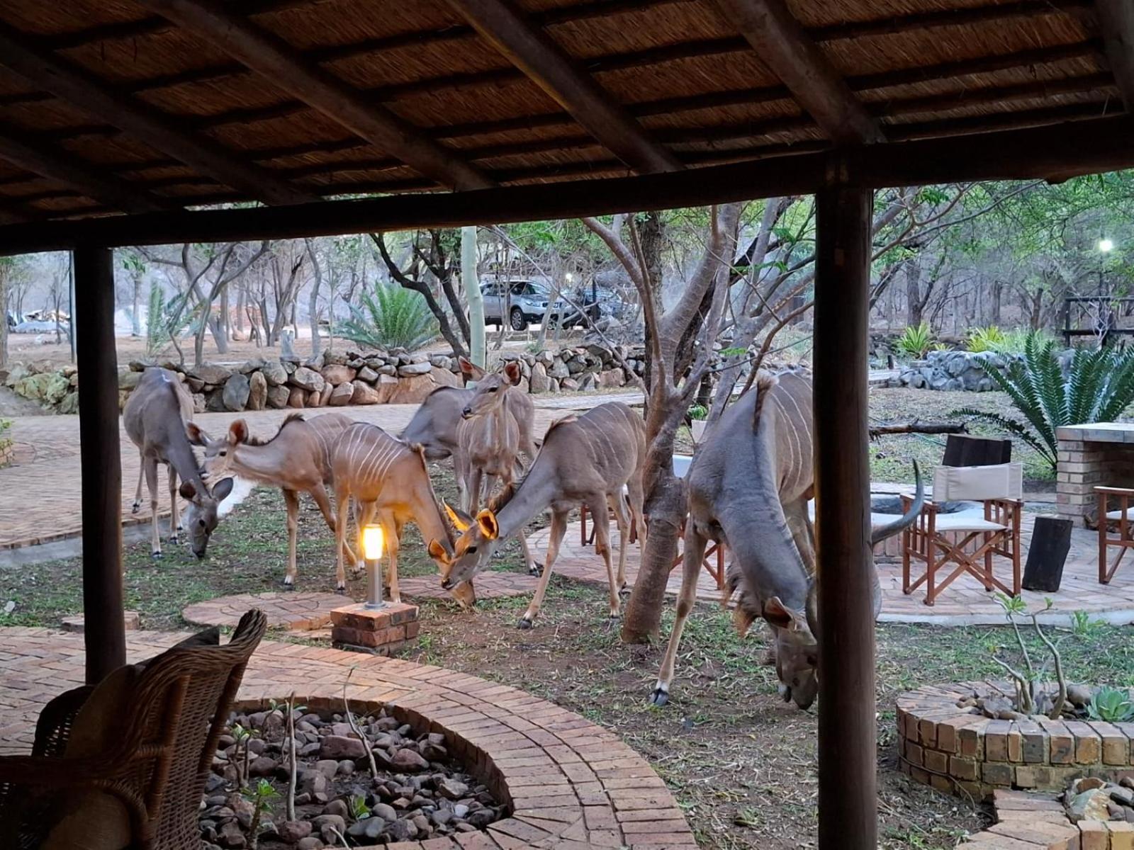 Kruger Riverside Lodge - No Load-Shedding Marloth Park Luaran gambar