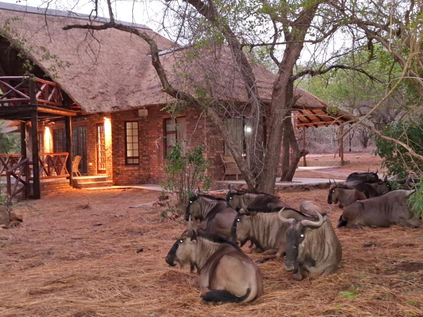 Kruger Riverside Lodge - No Load-Shedding Marloth Park Luaran gambar