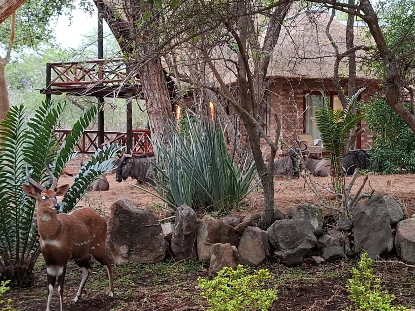 Kruger Riverside Lodge - No Load-Shedding Marloth Park Luaran gambar