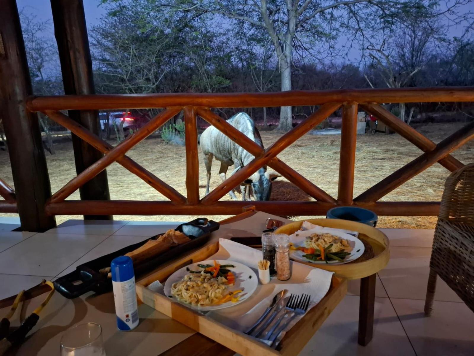 Kruger Riverside Lodge - No Load-Shedding Marloth Park Luaran gambar
